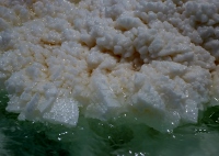 アッサル湖の塩